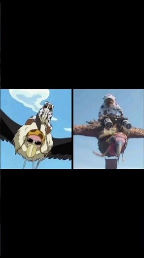 Why Live Action One Piece Is Good