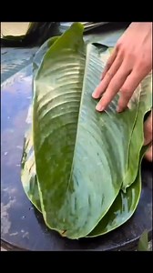 1.4M views · 4.8K reactions |  Dive into quick farming hacks with our bite-sized tips #farming #farm #plants #grafting | Kito.Uno | Facebook