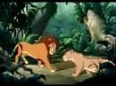 Simba & Nala - Feels Like Home