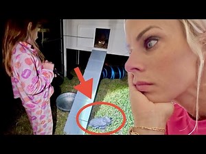 None Of Them Made It…