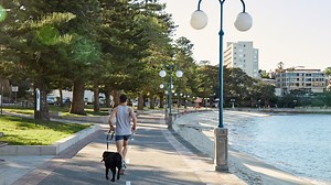 29K views · 335 reactions | New South Wales Chief Health Officer Dr Kerry Chant’s absence from the COVID-19 health press conference was notable as largescale deviations from the roadmap were revealed. Read the full story at www.skynews.com.au | Sky News Australia | Facebook