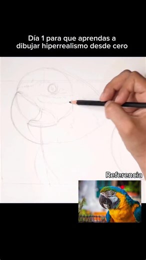 Comenta “GAYOPAPA” y te envío todo ! Este proyecto está diseñado para que puedas aprender a dibujar desde cero con tus lápices de colores. | Soy Danny