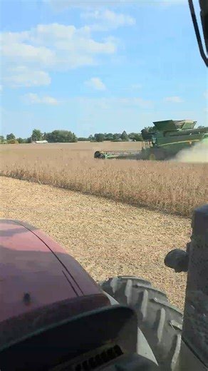 JD Combine Avoids Green Patches To Find Dry Soybeans Keep Harvest '25 Rolling Steady It's Early! #bigtractorpower #agri #farmequipment #farm #johndeere #machine #agriculture #harvest #farmer #farming | BP Farming