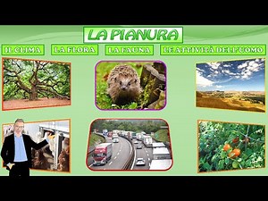LA PIANURA: IL CLIMA, LA FLORA, LA FAUNA E LE ATTIVITÀ DELL'UOMO