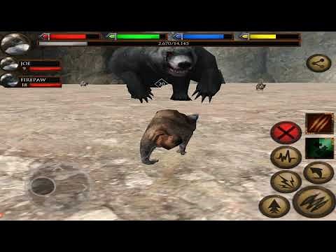 🦝Furious Raccoon VS 🐻Angry Cave Bear, Boss Fight, Ultimate Forest Simulator