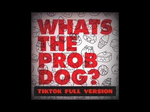What’s the Prob Dog Song full version sped up