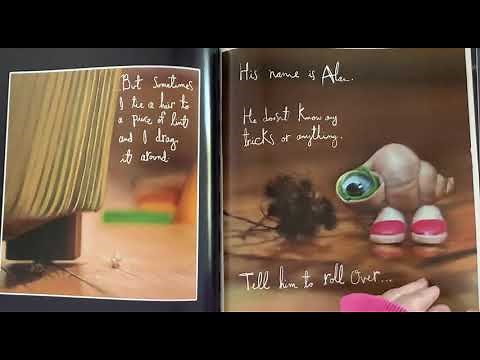 Marcel the Shell with shoes on Things About Me