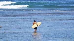 92K views · 1.3K reactions | Desert Point is known for its long barrels, super shallow reef, and generally being an intense heavy wave. So when we noticed a surfer heading out without a leash, it didn't seem like the best idea. Sure enough, he lost his board multiple times and had to swim/walk in to retrieve it. He did get quite a few barrels though, so he must be doing something right! | Global Zoo - Surf Content | Facebook