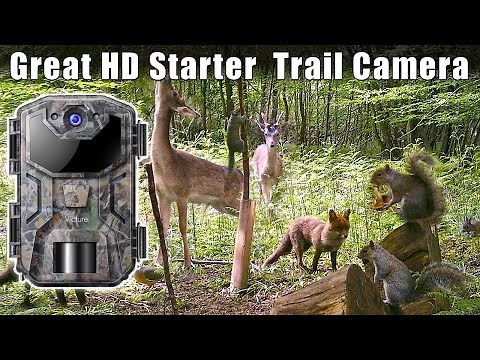 HD Trail Camera (Victure HC300) Review & Sample Shots