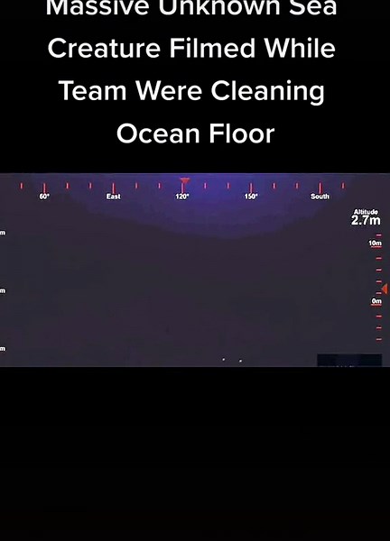 Creepy Encounter: Massive Unknown Sea Creature Captured on Camera
