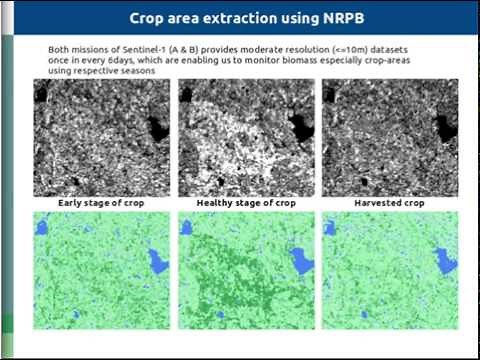 Sentinel 1 SAR data for vegetation monitoring