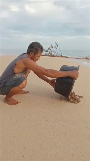 658K views · 592 reactions | Releasing hatchling sea turtles into the ocean is the best job! Our Billion Baby Turtles program supports nesting beach projects around the world that protect sea turtle nests and hatchlings to make moments like this possible. Video: Pamali Indonesia #seaturtle #ocean #beach #wildlife | SEE Turtles | Facebook