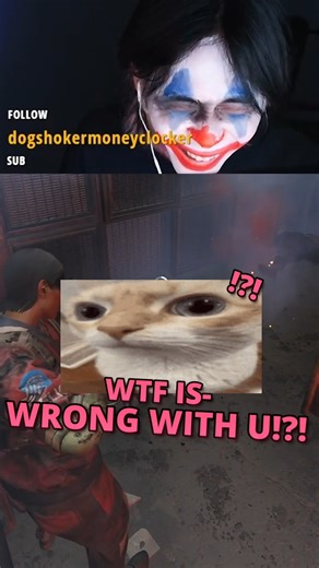 schrodingerLee on Instagram: "She Was TOO Nice... 😭🥀 https://www.twitch.tv/schrodingerlee #reels #funny #schrodingerLee #cats #gaming #games #minecraft #anime #valorant #arcraidersgame #arcraidersgameplay"