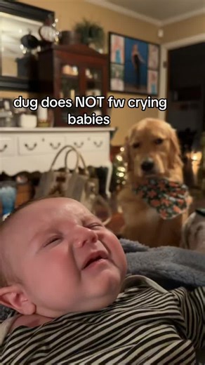 Bugeater (@big.bug.eater)’s videos with oh my god bruh oh hell na man