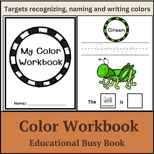 Color Workbook, Learning Colors, Preschool, Kindergarten, Adapted Book - Etsy
