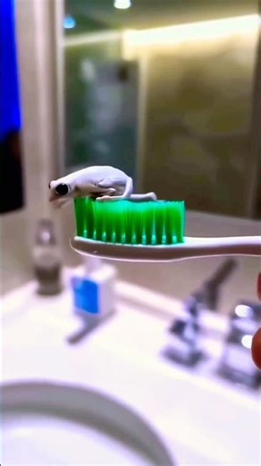 Surprise in toothpaste 🤣🤗🤪😂 #shorts #viralvideo #trendingshorts