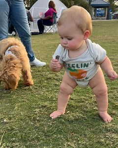 456 reactions · 8 comments | Evan Craft on Reels | Facebook