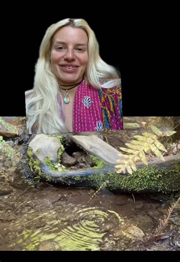 Dragonfly Greenscreen Video – Nature Magic Footage