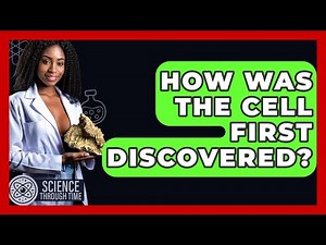 How Was The Cell First Discovered? - Science Through Time