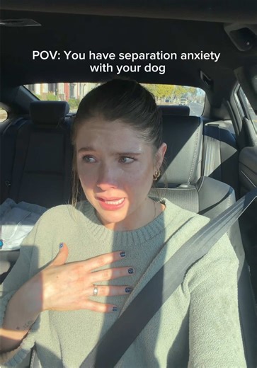 They said he’d be fine. I am not. 😭😭😭😭😭😭 My dogs getting a haircut and i’m over here GRIEVING. My dog is my best friend I don’t care. #doggrooming #mydogismybestfriend #dogmomlife #separationanxiety #funny