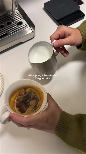 Mastering Rosetta Latte Art Techniques for Beginners