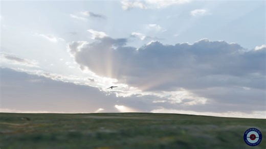 This is CGI - Out in the fields, the crows sense it first. Something fast, something powerful. The Spitfire, with its Merlin engine, closing in. Sound up ! Have a great day everyone ! | SpitfireCGI