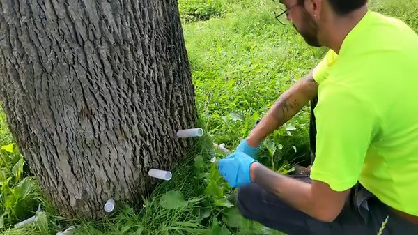 1.9K views · 14 reactions | Have you seen these in your neighborhood?...