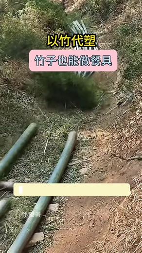 Eco-friendly bamboo disposable tableware. single-use bamboo tableware. #bamboo #disposable #tableware