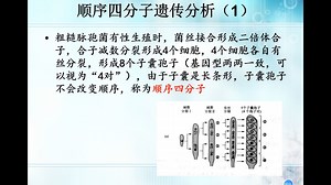 生物竞赛难点124-遗传与分子生物学补充-顺序四分子分析