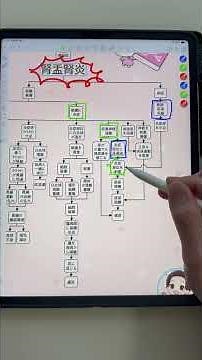腎盂腎炎の関連図を解説「症状編」