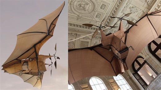Watch the strange bat plane design that shocked aviation history