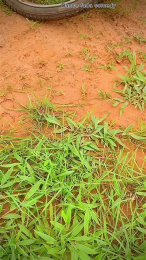 dancefadacomedy on TikTok