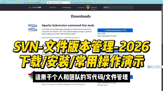 SVN_版本管理_安装 常用操作演示