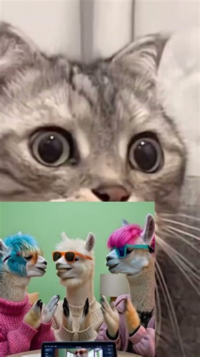 Funny ball fail #funnyshorts #comedy #comedyshorts #funnyvideo