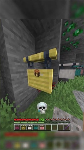 Minecraft has SECRET symbols⁉️😧