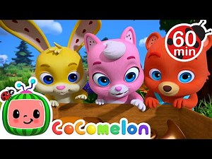 Hey Diddle Diddle | CoComelon Animal Time | Animal Nursery Rhymes