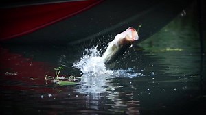 Check out the all new Bass Pro Shops XPS Hyper Braid and save on shipping! | Bass Pro Shops