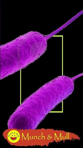 What causes E Coli UTI Infection | How E Coli causes UTI | E Coli UTI microbiology