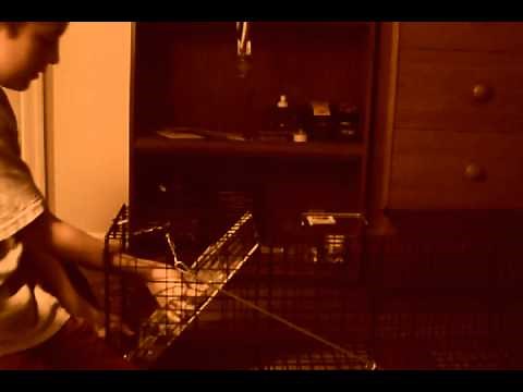 Advantek Live Animal Trap Mechanism