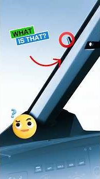 How does the icing pin indicator work #airbus320 #realpilot #flightsimulator