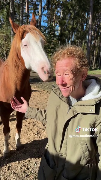 Good Morning Routine with Horses on the Farm