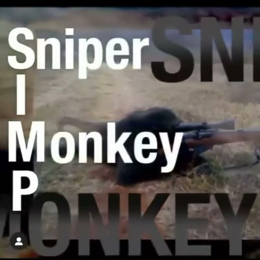 Sniper monkey meme