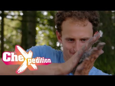 Schrubb dich grün! | Eine CheXpedition mit Checker Julian
