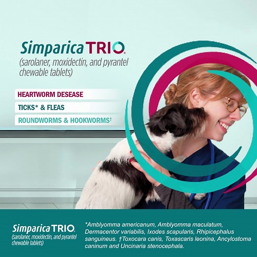 6K views · 33 reactions | It's easy to give and provides triple protection—a great option for your practice and patients. Prescribing Info: https://bit.ly/3b4nDjk | Zoetis | Facebook