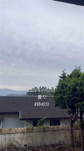 2025年11月11日 宮崎県えびの市の天気 #宮崎県 #えびの市 #天気#shorts #曇り #火曜日 #ポッキーの日 #素敵なお客様 #仕事 #えびのペンション #一期一会 #良い旅を