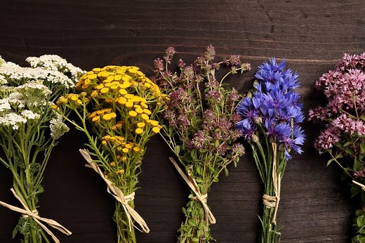 9 Strongest Herbs for Prosperity: Money, Luck...