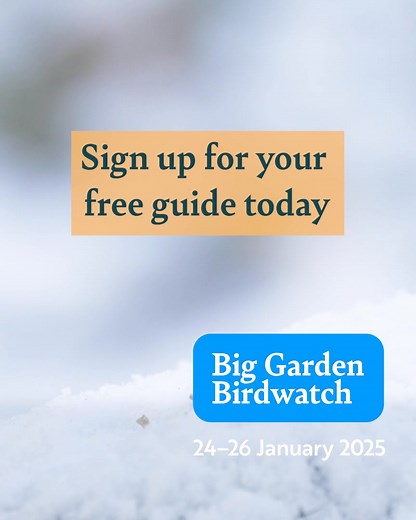 Request your FREE Big Garden Birdwatch guide. Everything you need to take part Jan 24-26 | RSPB