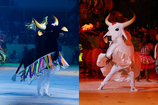 Entenda como os bois Caprichoso e Garantido são avaliados na arena | G1