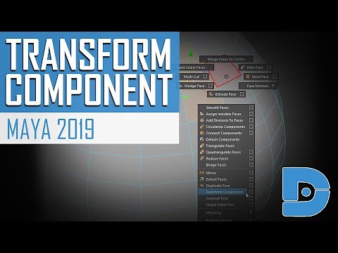 Maya 2019 Tutorial - Transform Component