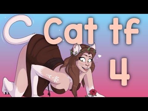 Cat tf 4